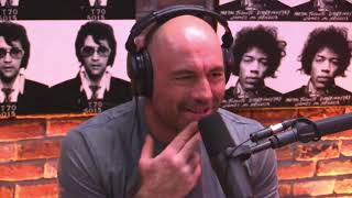 Joe Rogan & Dennis McKenna on kratom, ibogain and the war on drugs (JRE #946)