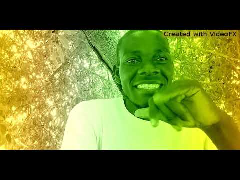 Zophy mula X yockzee X SNOB