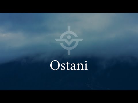 Svetnik - Ostani (Lyric video)