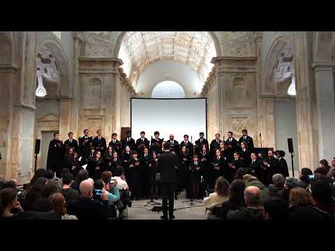 Coro Misto da UC - Deitados (XV EICU)