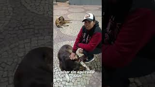 Trabalhamos com cachorro-quente em Viçosa -Mg se quiser vir aqui conhecer a gente, Vc que sabe 😏🌭😉🌭😏