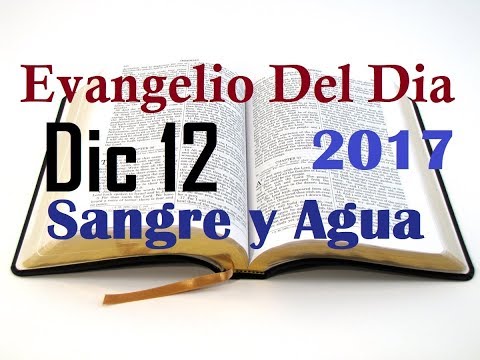Evangelio del Dia- Martes 12 Diciembre 2017- La Virgen de Guadalupe-  Sangre y Agua