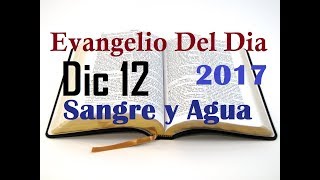 Evangelio del Dia- Martes 12 Diciembre 2017- La Virgen de Guadalupe-  Sangre y Agua