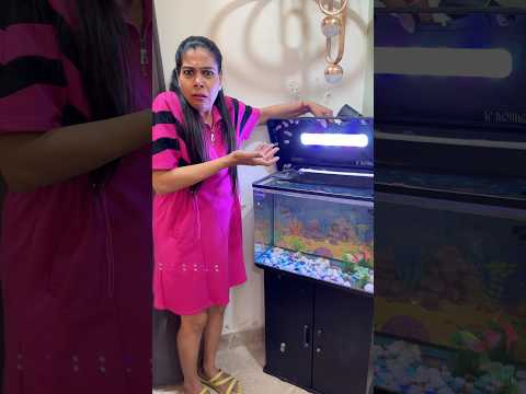 Aquarium Mai Kiske Bacche Paida Hogae ?? 🐌🐟🐠 #fish #fishing #aquarium #aquarius #fishes #minivlog