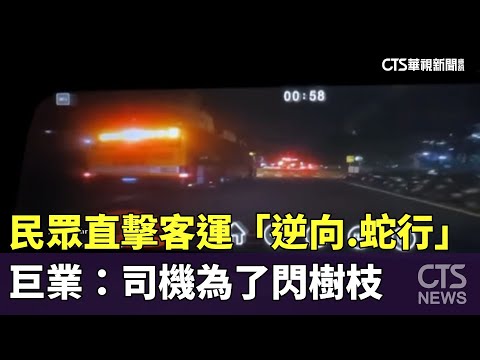 民眾直擊客運「逆向.蛇行」　巨業：司機為了閃樹枝