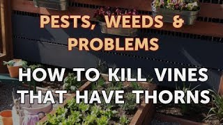 How to Kill Vines That Have Thorns