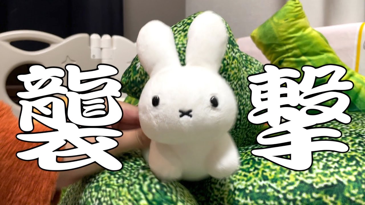 変な物が大量に届きました