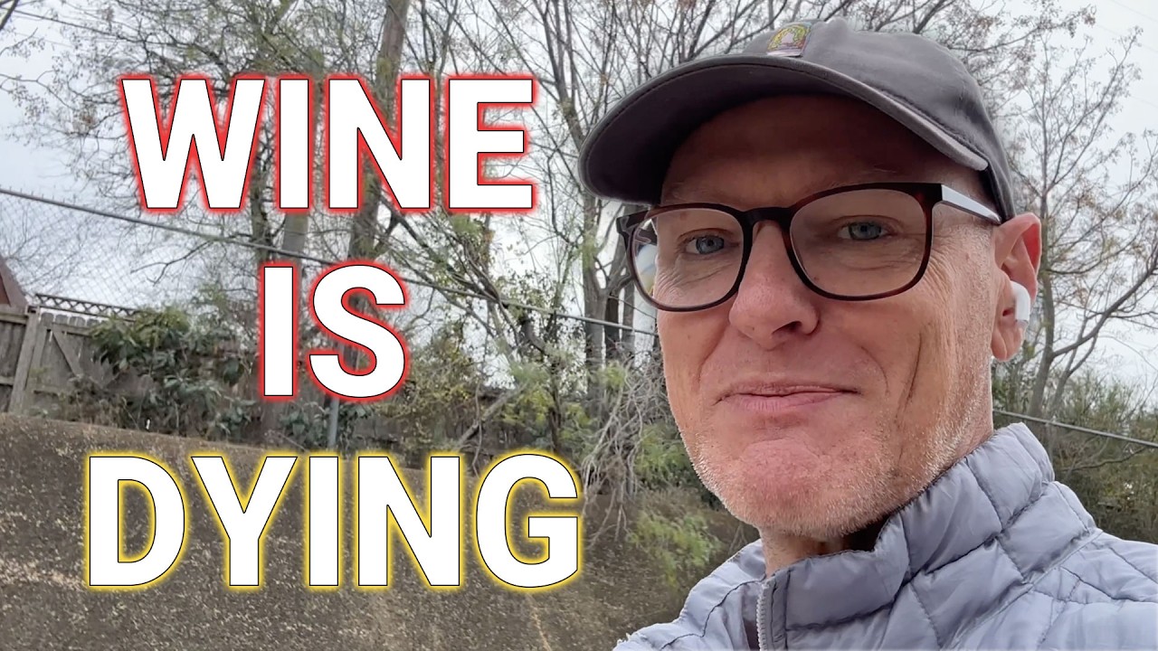 Why the Wine Industry Is Dying and the Impact on Business