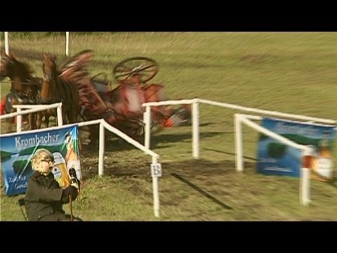 Kutschenunfall auf Parkour !!!