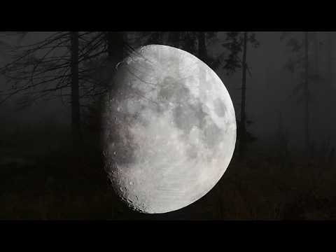 40% BLUESA - Każde słowo