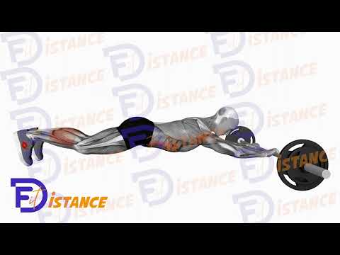 Exercice Roulette à abdominaux avec barre droite