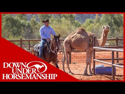 Clinton Anderson - Outback Adventure 11 of 14