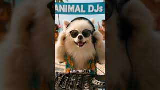 Download lagu DJ Lulu brings techno house vibes to the beach! Feel the beat and join the AnimalDJs now! mp3