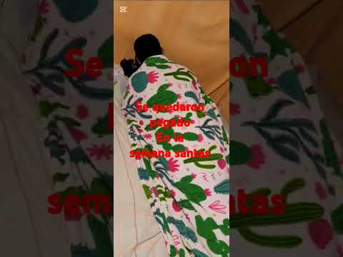 primer caso en el estado lara duaca municipio crespo llegate llegate ven para que lo veas 👉tu tambie