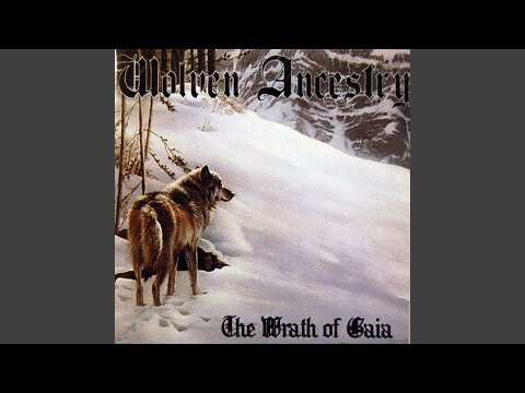 Our Star-Guided Journey to the Realm of Neverending Life