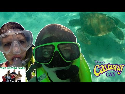 Swimming With Wild Sea Turtles on Castaway Cay - Disney Fantasy / That YouTub3 Family
