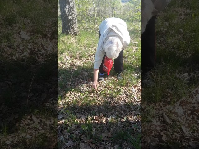 Youtube Video Youtube Video