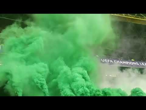 Directivo Ultras XXI - O MEU AMOR É VERDE E BRANCO!
