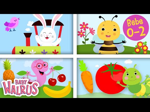 Fjalët e Mia të Para | Kompilacion Arsimor dhe Argëtues për Nxënie | Kafshë, Forma, Fruta dhe! 🍎