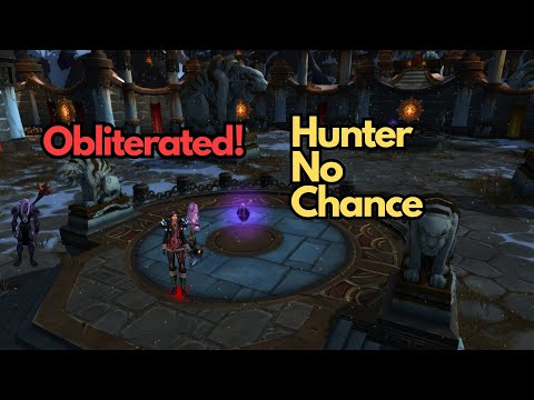 Hunter Gets Obliterated 😱 | Feral Druid MoP Classic Arena