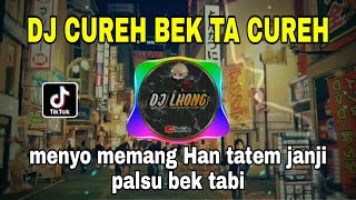 Download lagu DJ MENYO MEMANG HAN TATEM JANJI PALSU BEK TABI - CUREH CUREH BERGEK REMIX VIRAL TIKTOK TERBARU 2022 mp3
