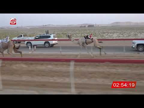  ش 3 (طيف) لـ خالد سعيد بن بروك الحميري 6:28 ، مهرجان العين 2026/07/12 حول وزمول سويحان