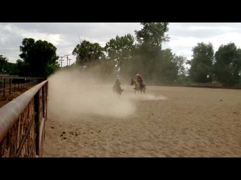 Les Vogt Clinic - Boon's fence run, Day Two