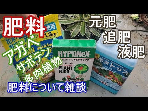 イボタノキに適した施肥 植物
