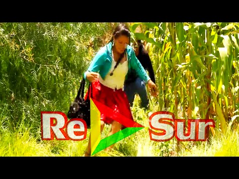 Los Felidos ▷ Lloqalla bandido (2016) Oficial