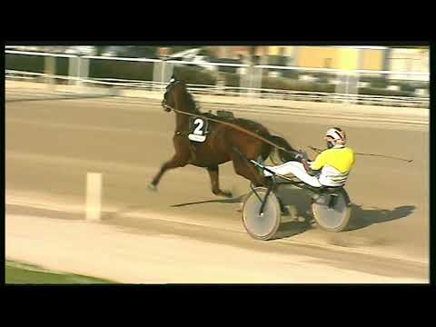 Trotto 06/11/2020 - 5ª corsa