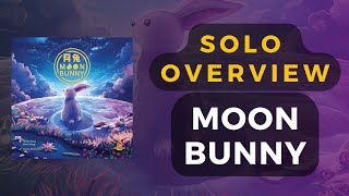 Moon Bunny Collector's Edition Solo Overview | DaniCha