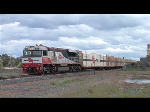 SCT Boxcar Train at Yarrabandai.  Mon 01/11/10