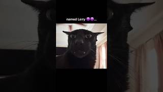 Evil Larry 😈😈... #trending #funny