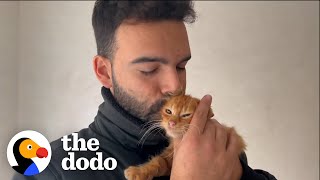 Guy Rescues A Stray Cat Every Time He Leaves The House  | The Dodo Heroes by The Dodo
