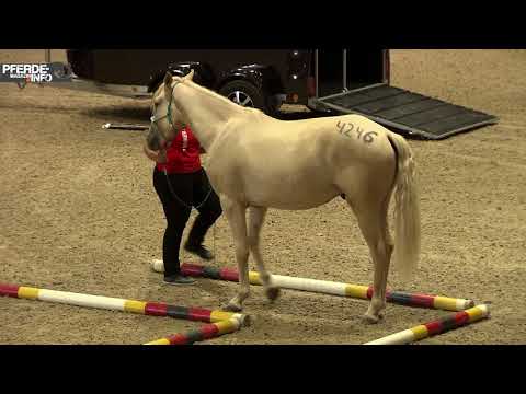 MUSTANG MAKEOVER 2018 Team Janell - EVENT