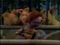 Sesame Street News Flash What Is Your Favorite Animal