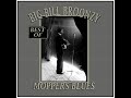 Big Bill Broonzy - Moppers Blues
