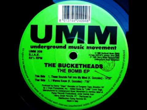 Kenny Dope Gonzales pres. The Bucketheads - These Sounds Fall Into My Mind