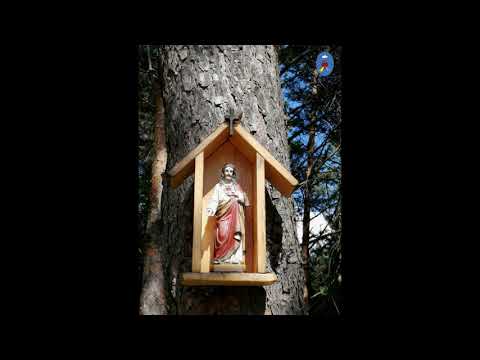 Pustelnia 11.06.2021 - Kazanie o. Daniela