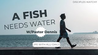 A Fish Definitely Needs Water!! So What Do You Need?! Listen To Our Founding Pastor Dennis Explain!