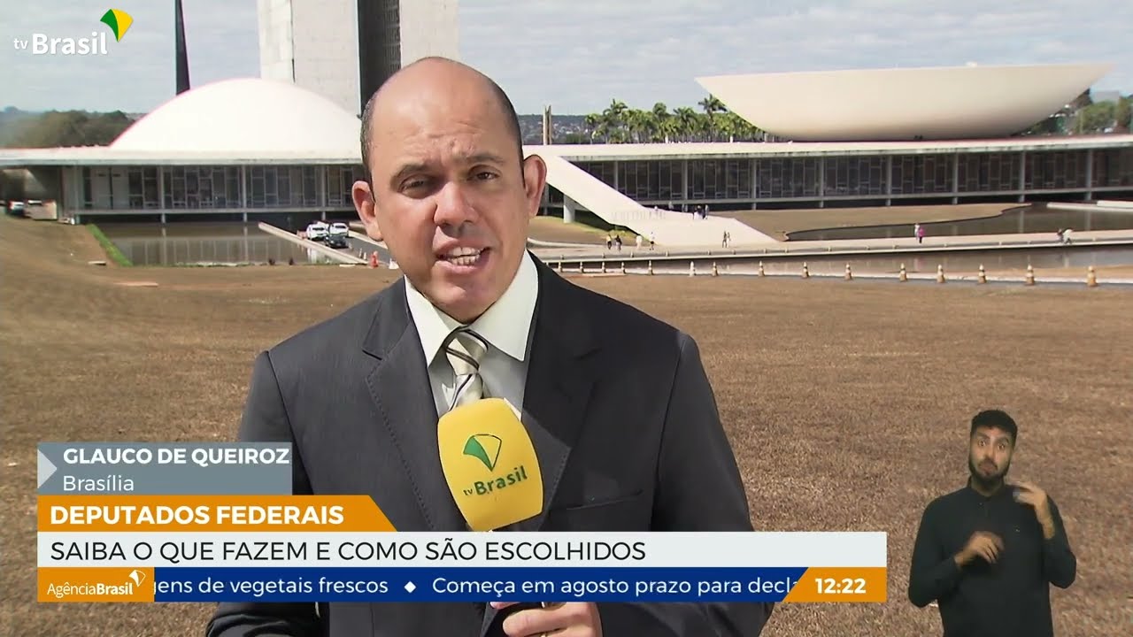 Eleições 2022: saiba o que faz e como é eleito um deputado federal