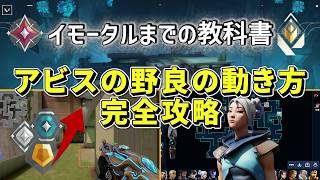 【最高レディアントが解説】Valorantイモータルになるまで意識したい「アビス」での野良の動き方完全攻略（勝ち方、エージェント、マクロ、注意・警戒ポイント、クリアリングの仕方、etc...）