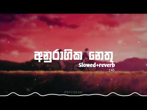 Anuragika Nethu (Slowed+reverb) | Maharaja Kansa Theme Song | අනුරාගික නෙතු | මහරජ කන්සා