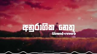 Anuragika Nethu (Slowed+reverb)  Maharaja Kansa Th