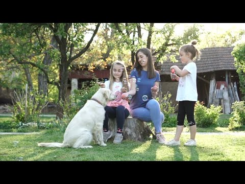 Plots & Plans Go Eco video.