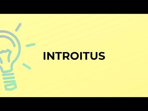 What is the meaning of the word INTROITUS?