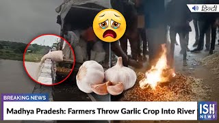 Madhya Pradesh: Farmers Throw Garlic Crop Into River