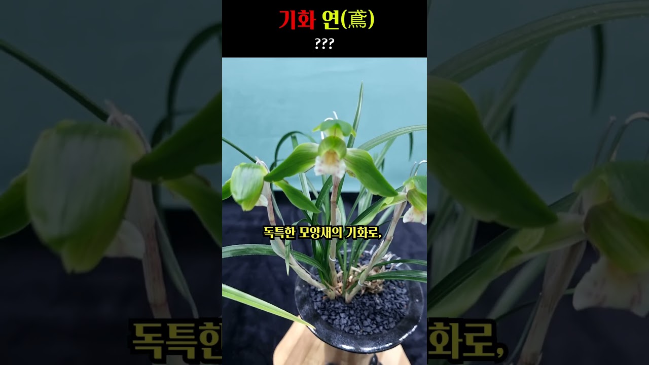 쇼츠 썸네일