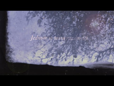 Dalibor Prochazka - Jednom se mora razdaniti / ZAPISI