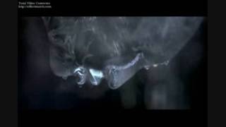 Die Another Day - "Way Back Home"